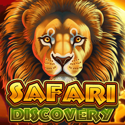 Safari Discovery