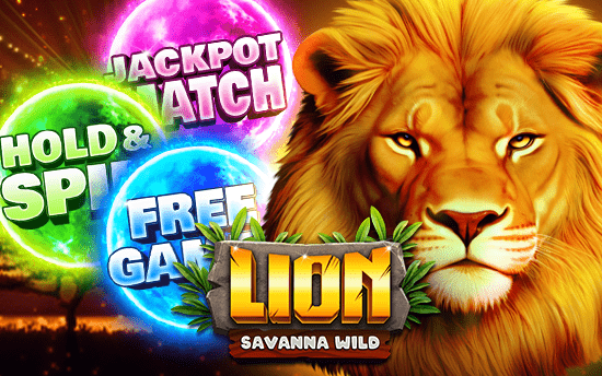 Lion - Savanna Wild