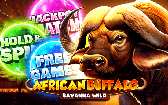 African Buffalo - Savanna Wild