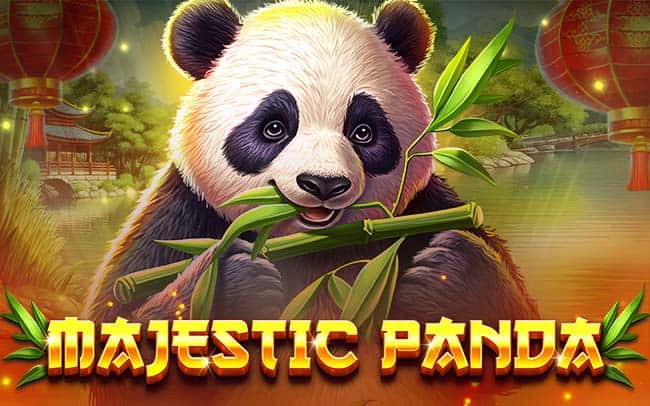 Majestic Panda