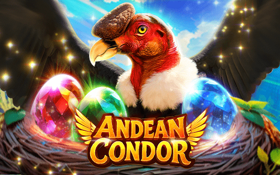 Andean Condor
