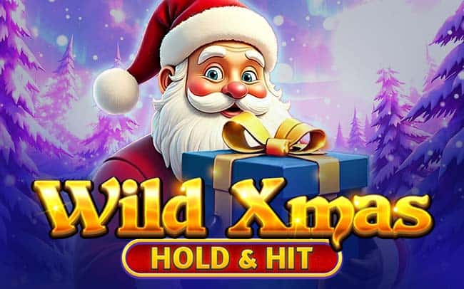 Wild Xmas – Hold & Hit