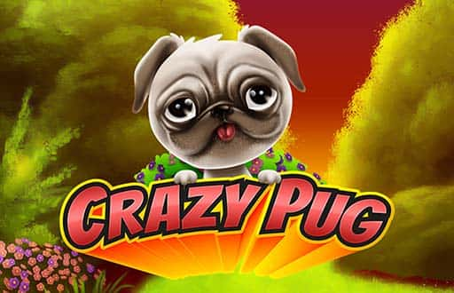 Crazy Pug