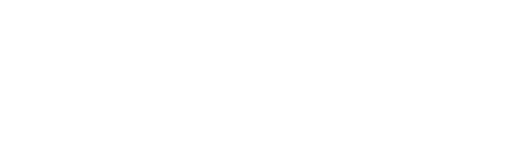 W Ruleta Pro