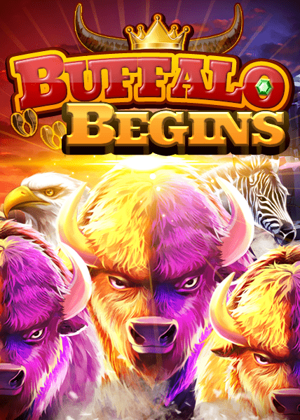 Buffalo Begins