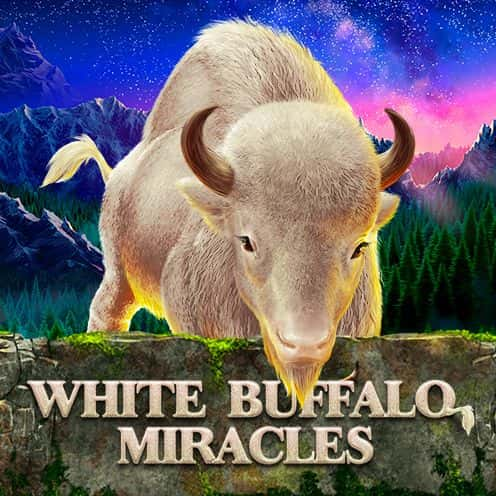 White Buffalo Miracles