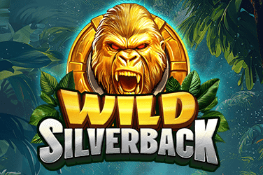 Wild Silverback