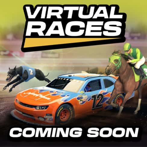 Virtual Races