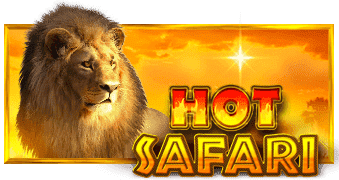 Hot Safari