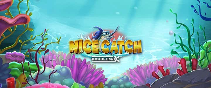 Nice Catch DoubleMax™