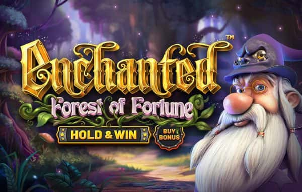 Enchanted: Forest of Fortune