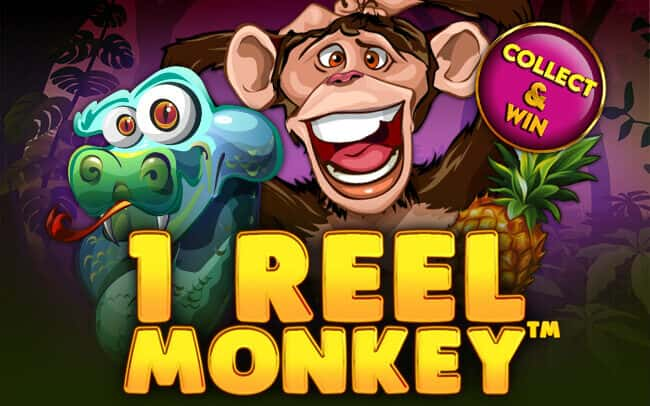 1 Reel Monkey