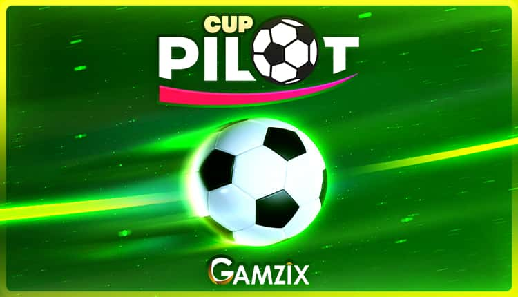 Pilot Cup