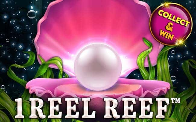 1 Reel Reef