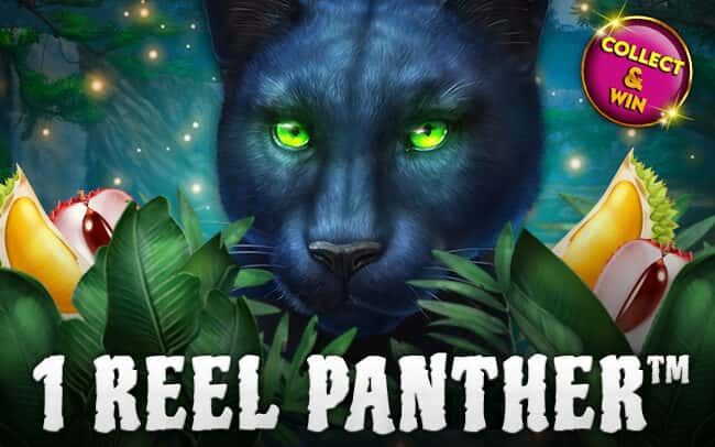 1 Reel Panther