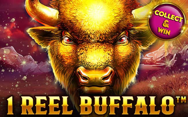 1 Reel Buffalo