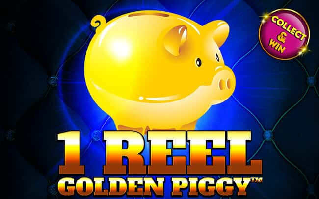 1 Reel Golden Piggy