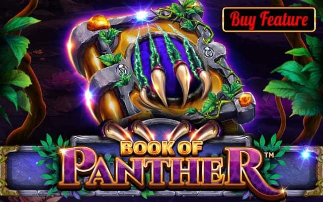 Book Of Panther