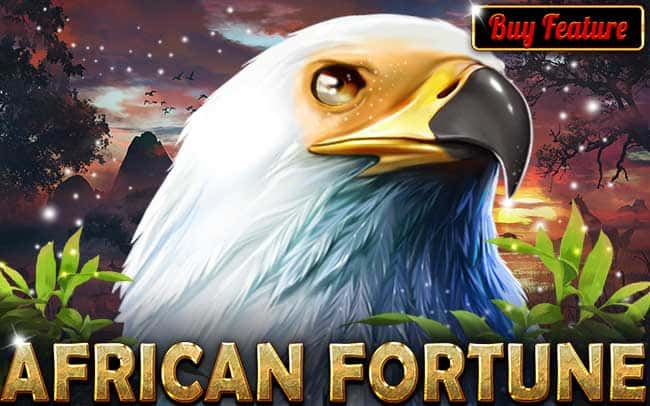 African Fortune