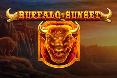 Buffalo Sunset