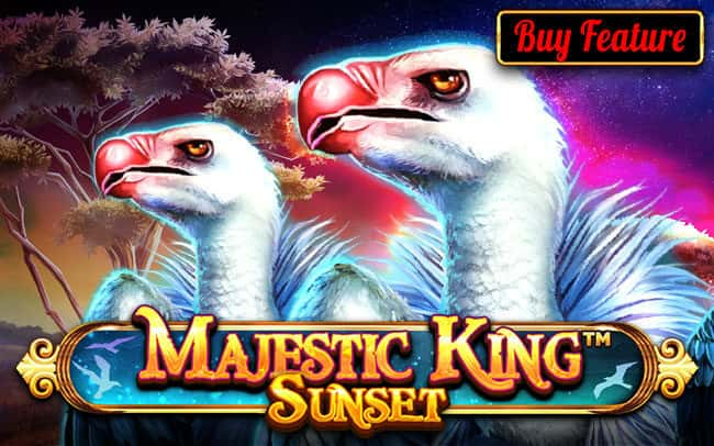 Majestic King – Sunset