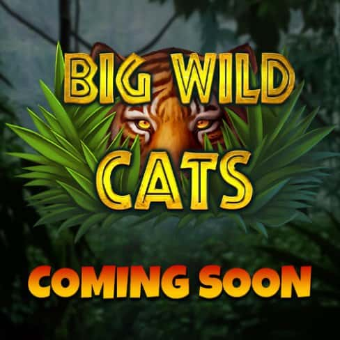 Big Wild Cats