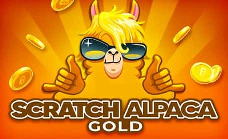 Scratch Alpaca Gold
