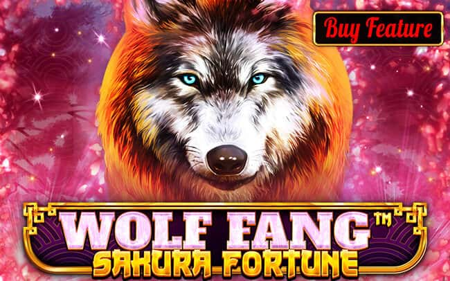 Wolf Fang – Sakura Fortune