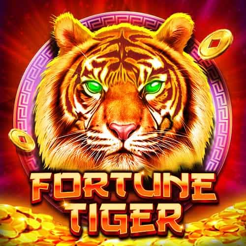 Fortune Tiger