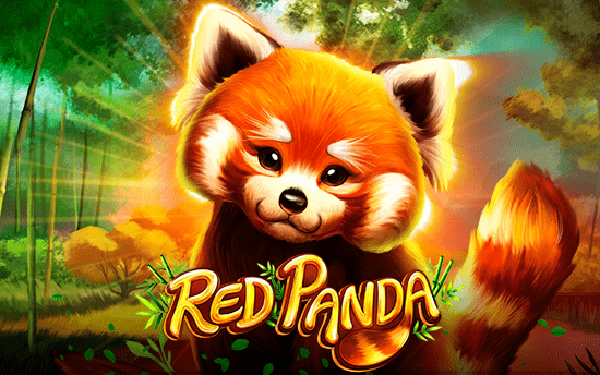 Red Panda