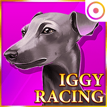 Iggy Racing