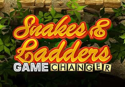 Snakes & Ladders Game Changer