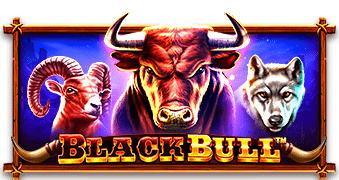 Black Bull