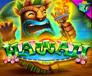 Hawaii Deluxe 94