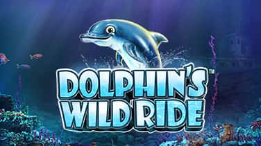 Dolphin's Wild Ride