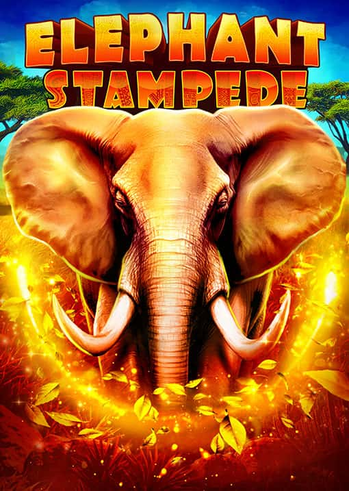 Elephant Stampede