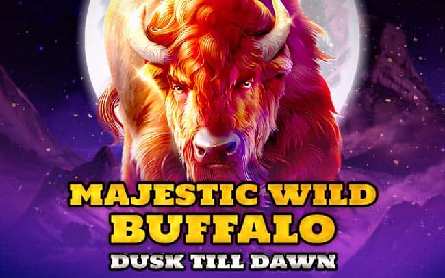 Majestic Wild Buffalo – Dusk Till Dawn