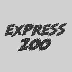 Express 200