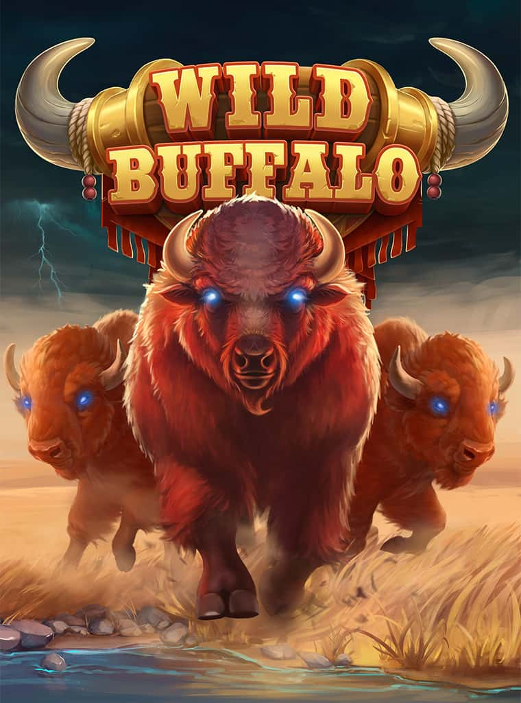 Wild Buffalo