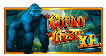 Congo Cash XL