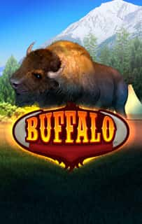 Buffalo Bingo