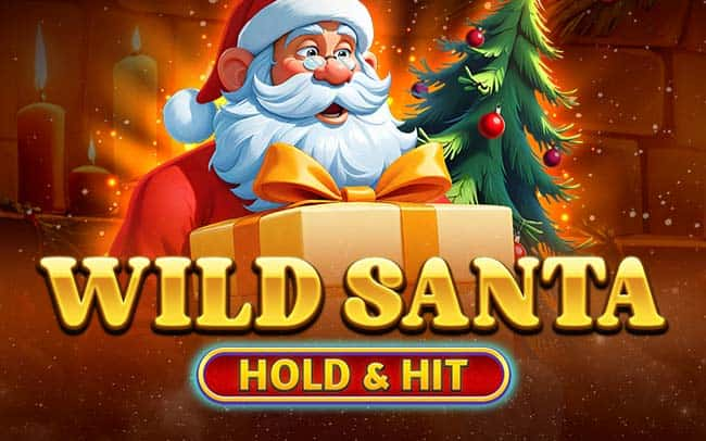 Wild Santa – Hold & Hit