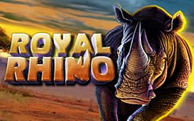 Royal Rhino