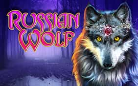 Russian Wolf