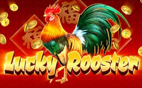 Lucky Rooster