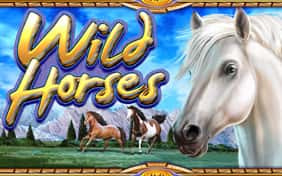 Wild Horses