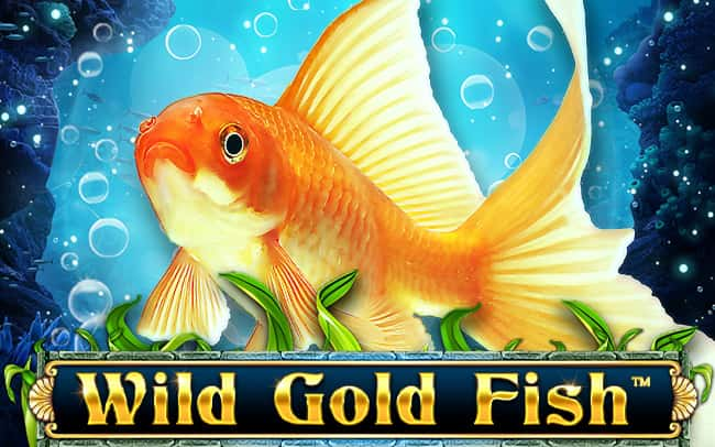 Wild Gold Fish