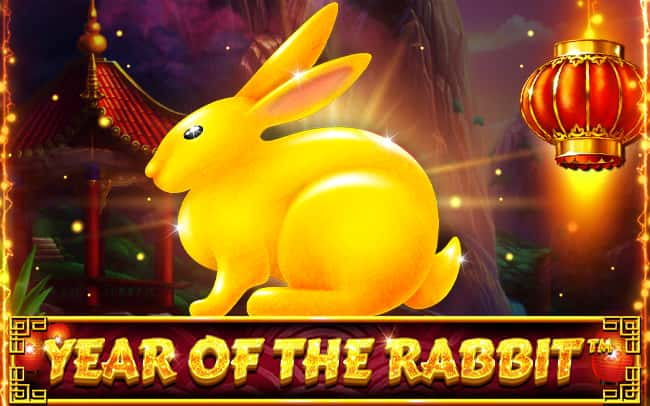 Year Of The Rabbit