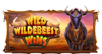 Wild Wildebeest Wins