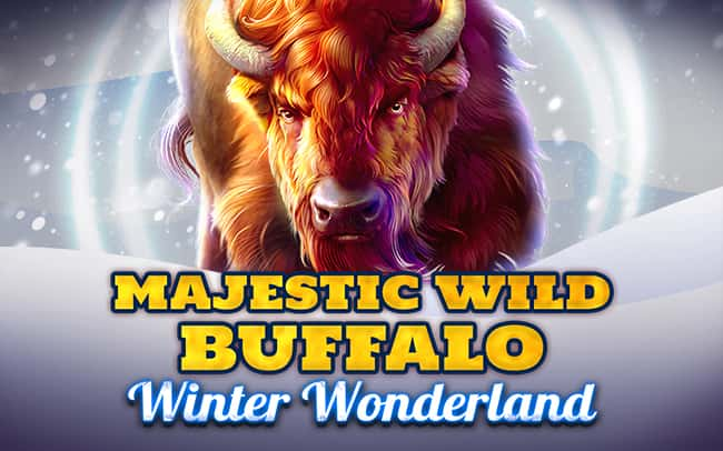 Majestic Wild Buffalo – Winter Wonderland